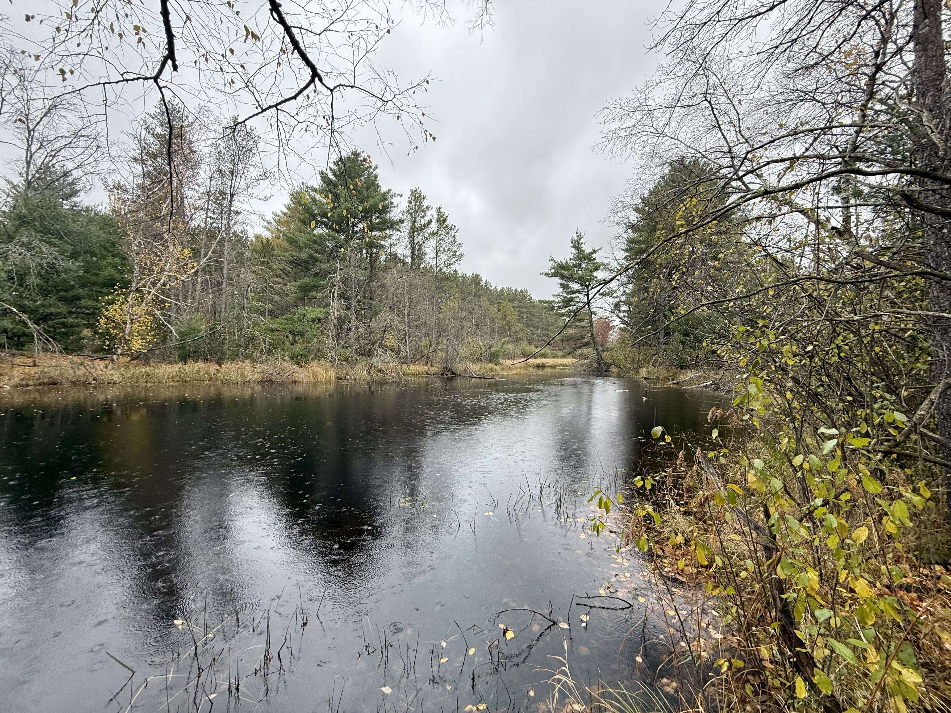 Listing Photo: Photo Oct 21 2025, 1 30 43 PM